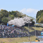 【画像】F1日本GPは春開催でどうなる……結果は心配なし！　桜満開の鈴鹿がみせた激熱の闘いをカタール航空のパドッククラブから観戦した 〜 画像49