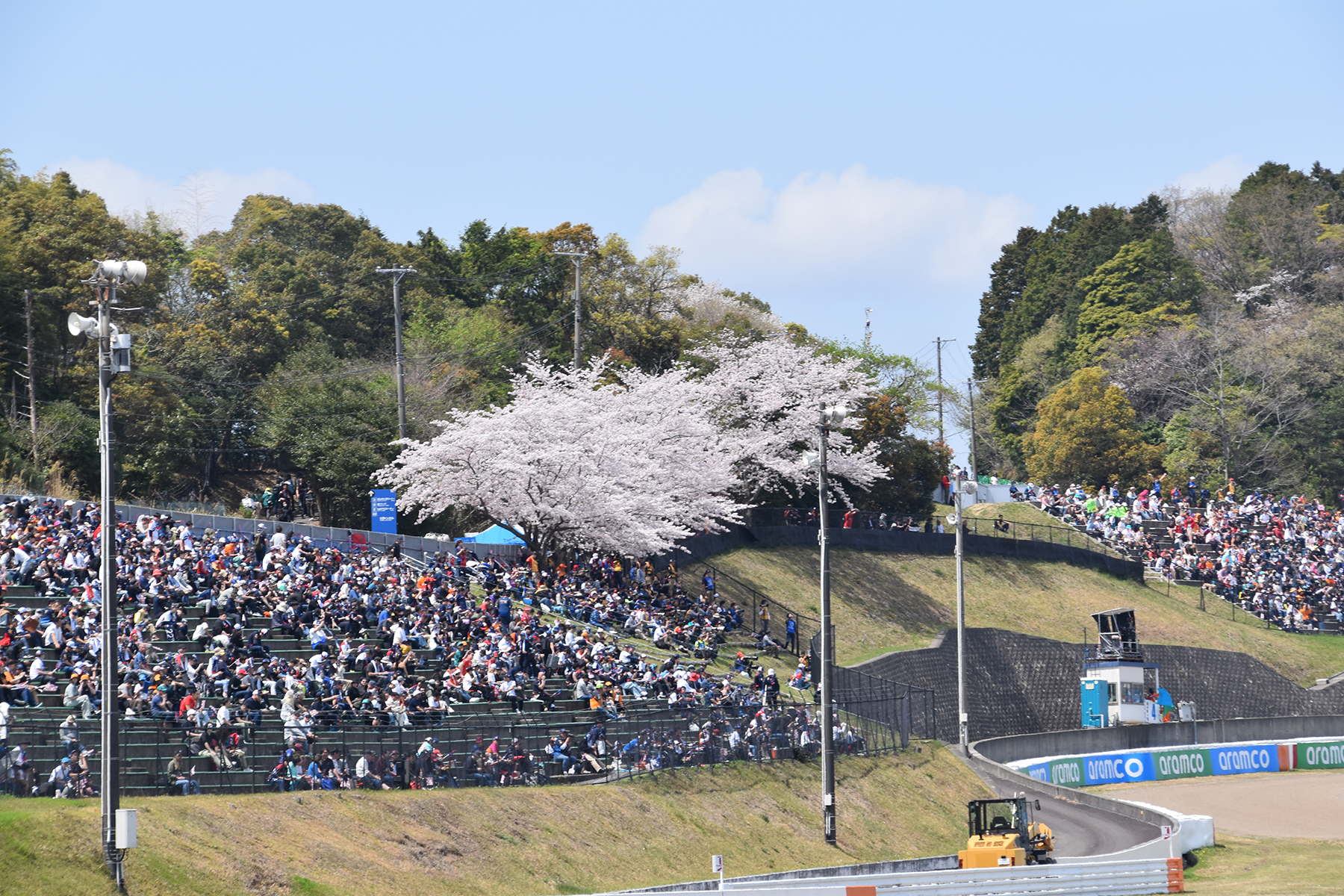 桜が咲き誇る鈴鹿のS字コーナー 〜 画像49