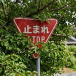 止まれの標識なんてなかったのに一時停止違反で取り締まられた……標識が樹木で遮られて見えなかったらどうなる？