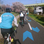 【画像】クルマの運転手は絶対知っておくべき！　ヒヤリを防ぐ自転車の「手信号」の意味 〜 画像6